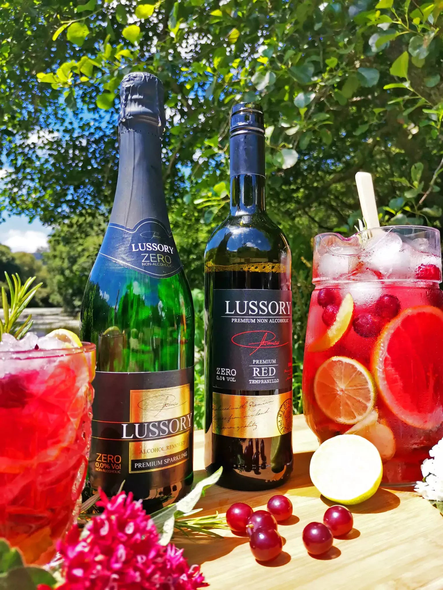 Descubre la Elegancia de los Vinos Sin Alcohol de Lussory: Una Guía ha ...