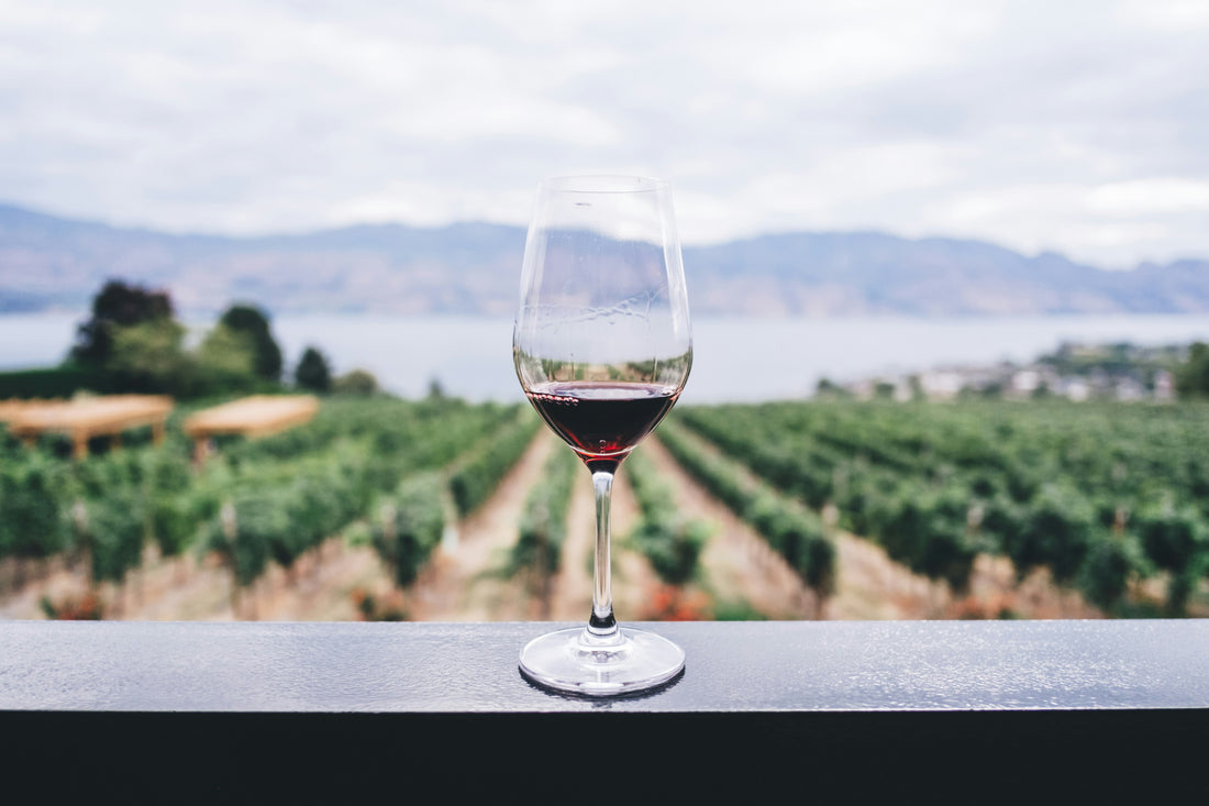 Sumérgete en la Elegancia de los Vinos Sin Alcohol: Un Viaje Delectable de Sabores